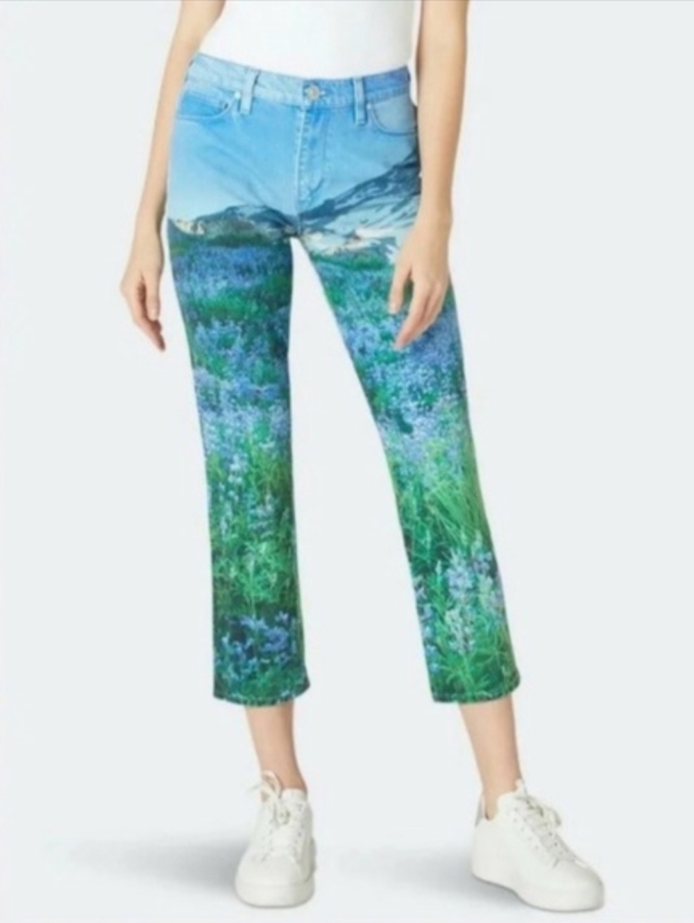 Hudson Barbara High Rise Straight Leg Cropped Jeans Mountain Landscape  Size 30 - Picture 10 of 10